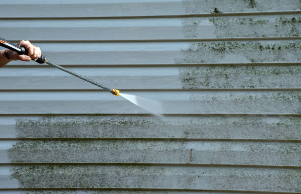 Office Mold Removal Services in Royal City, WA
