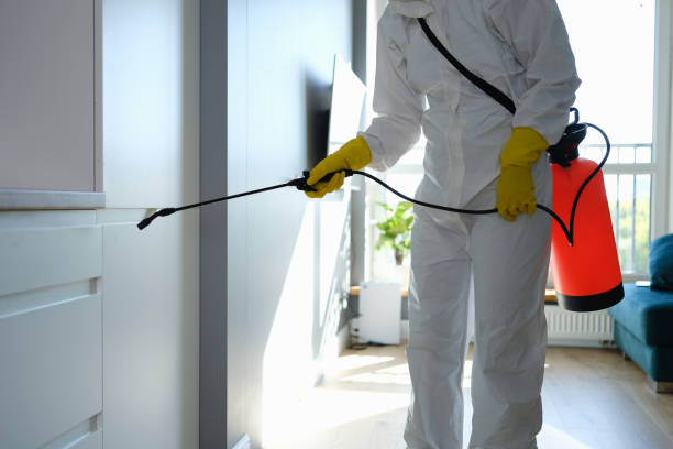 Best Certified Mold Removal  in Royal City, WA